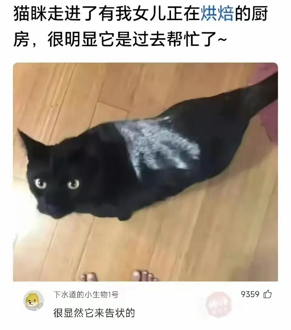 确实，它是来告状的[笑着哭]