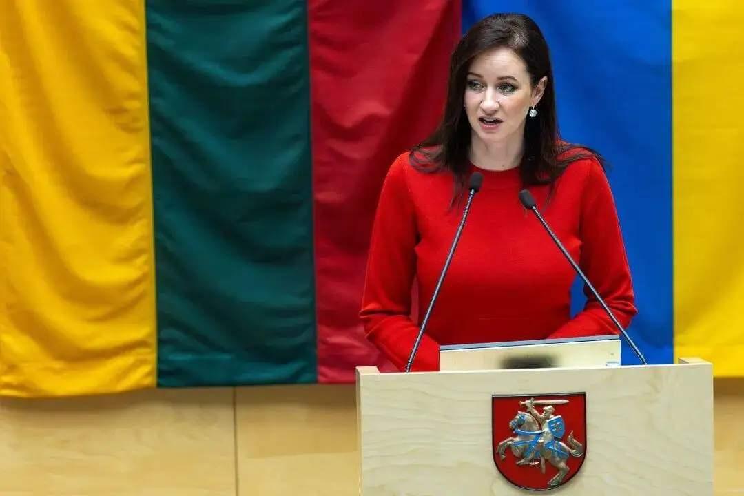 立陶宛总理鲁吉尼埃内近日的一番表态，在国际舆论场引发了广泛关注。她公开承认，