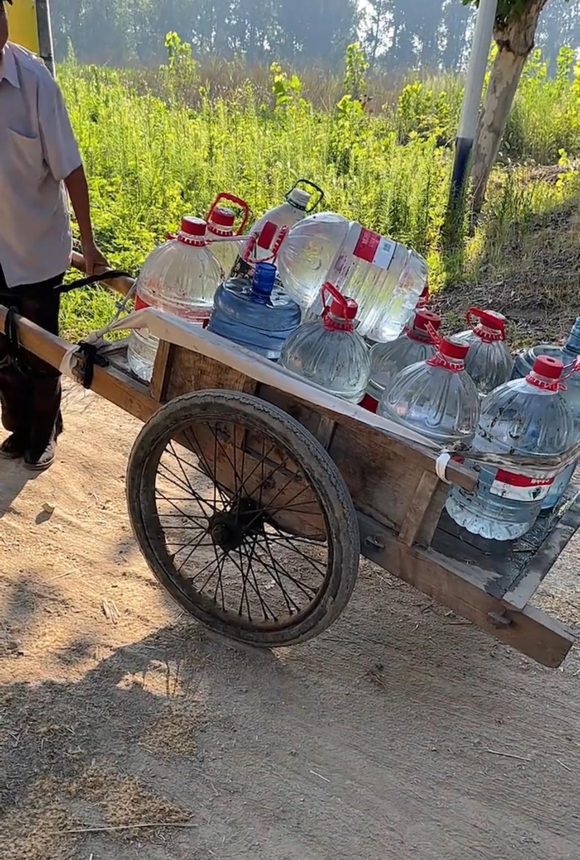老一辈是真闲不住，这么热的天大伯拉驾车用桶装水去浇地，玉米干旱严重老天不靠谱连续