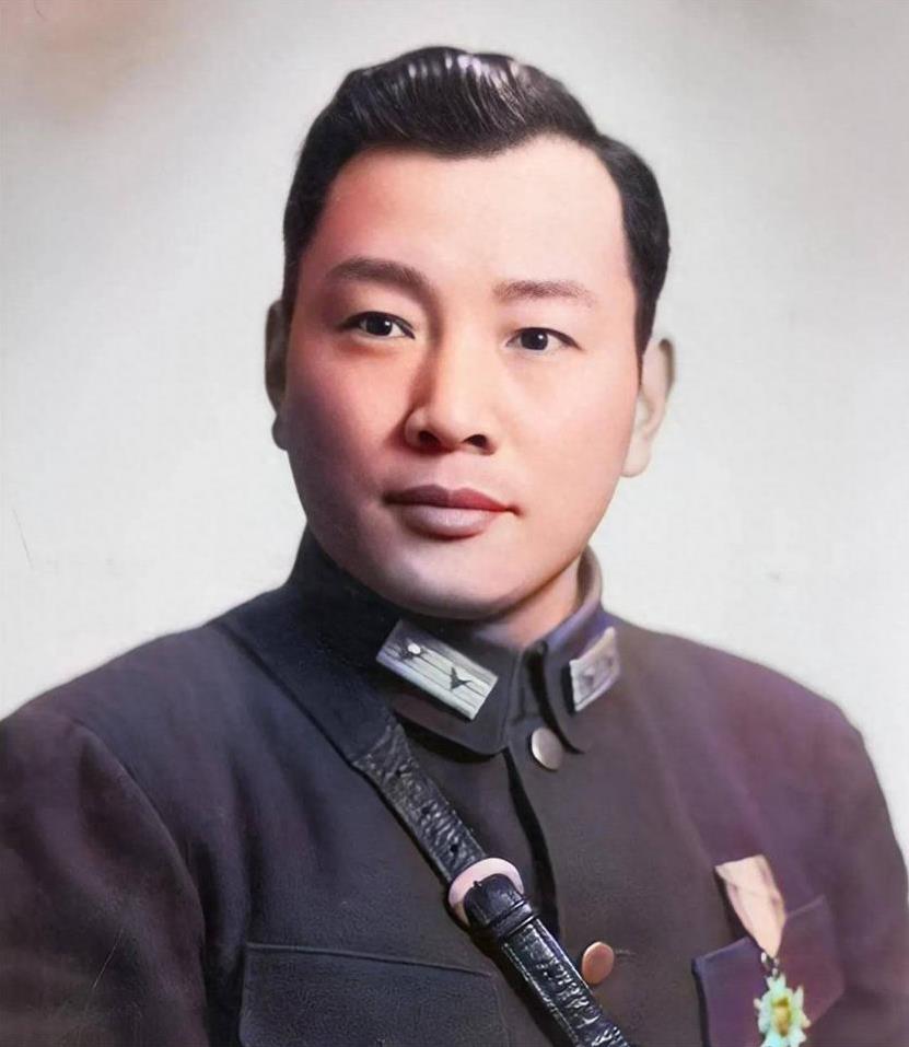 宋希濂晚年回忆，四川解放前夕，他和胡宗南制定了一个疯狂的计划，如果能够实施，那么