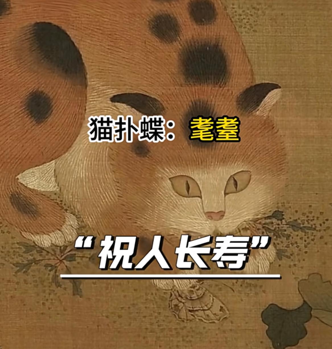 古人玩的那些高级谐音梗：宋徽宗赵佶的《耄耋图》，猫同“耄”，蝶同“耋”，猫扑