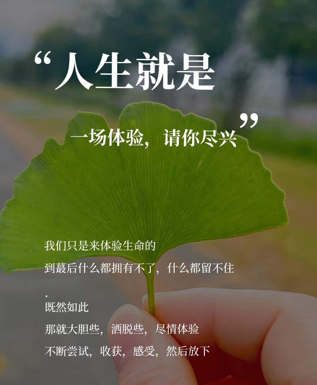你对人生有哪些感悟1. “真正的自由，是敢对‘别人的期待’说不”：小时候总想