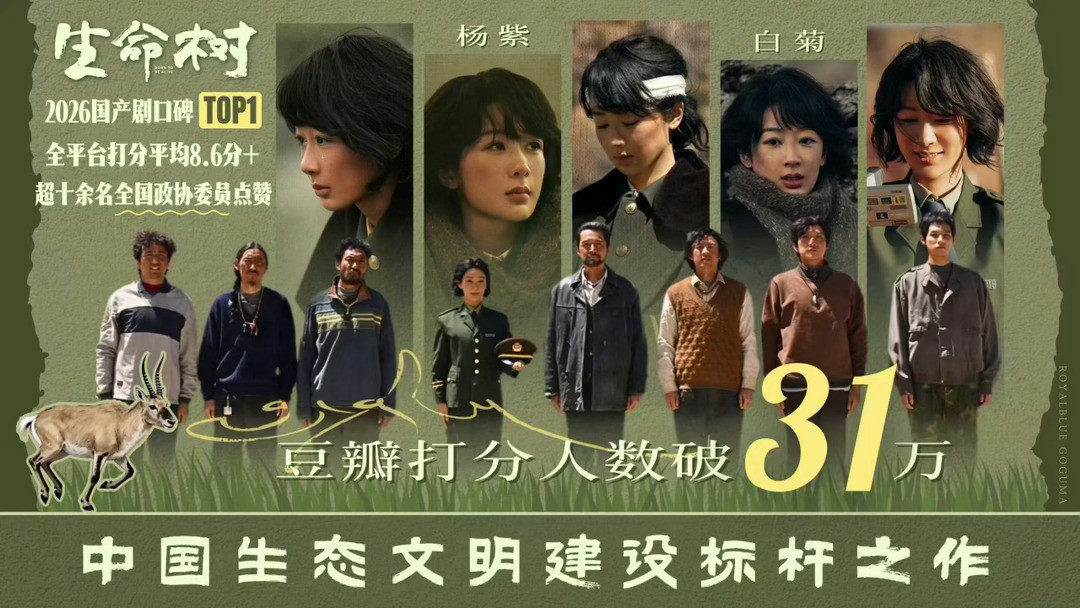 已经自封是26年口碑剧top1了豆瓣打分人数还做了个战报图庆祝各家都学起来好吗？