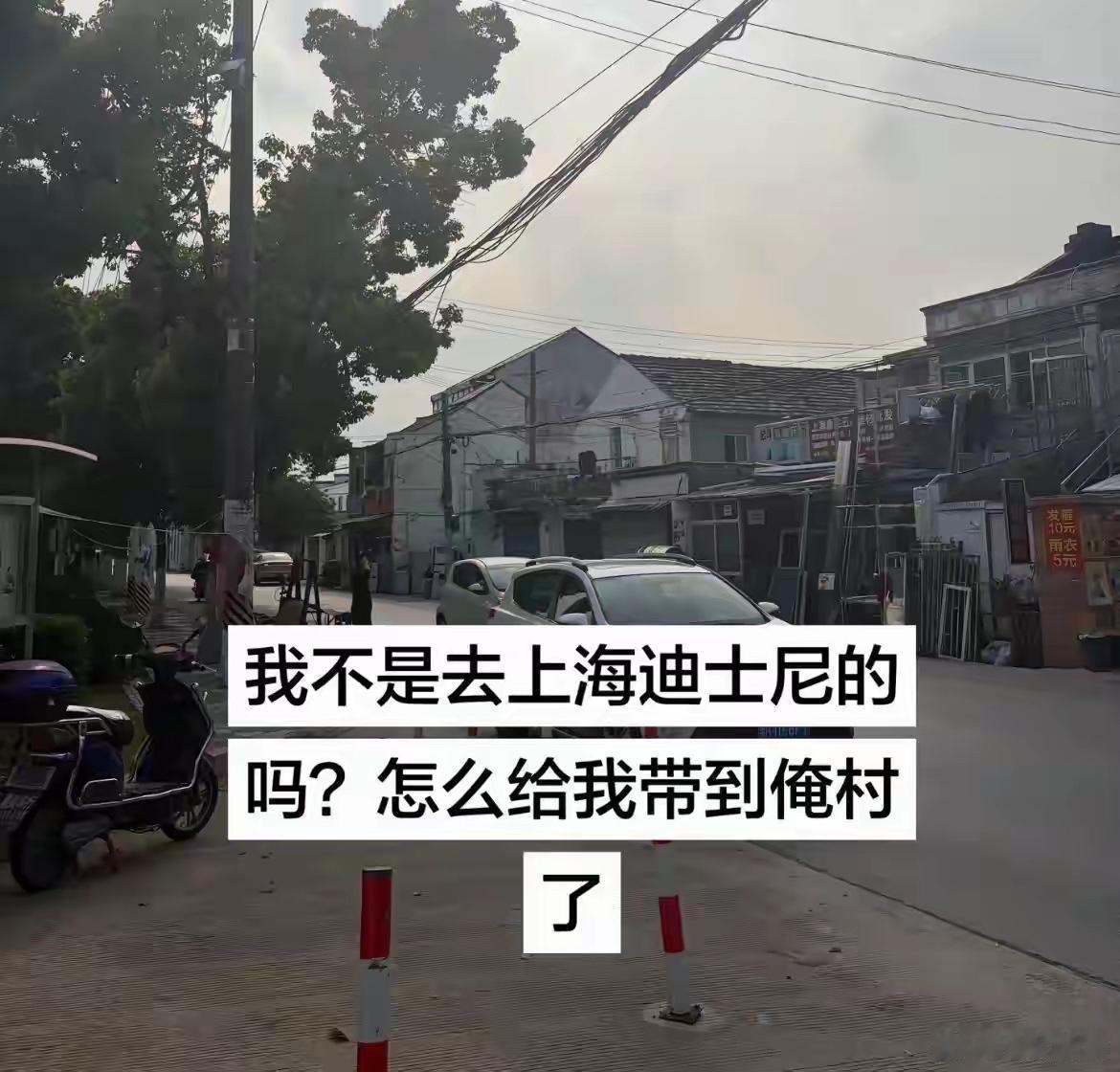 你们去过迪士尼的人嘴是真严啊！网友：原来迪士尼在村里呀