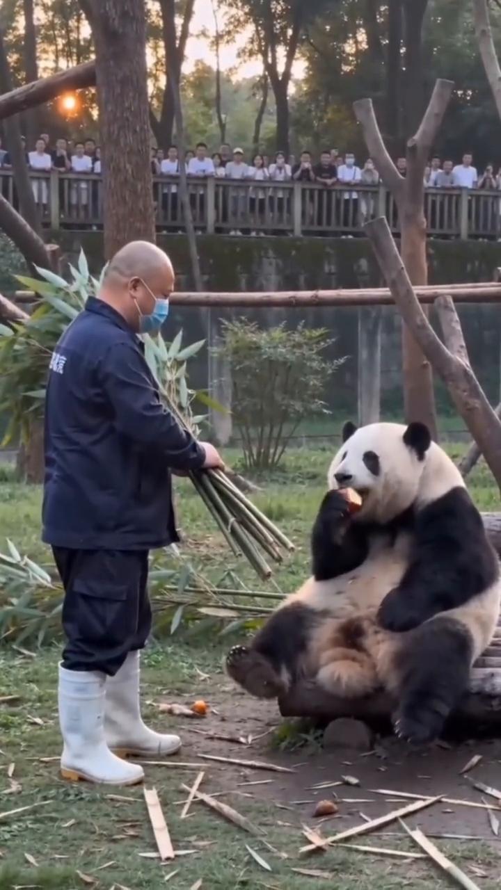 真搞笑。