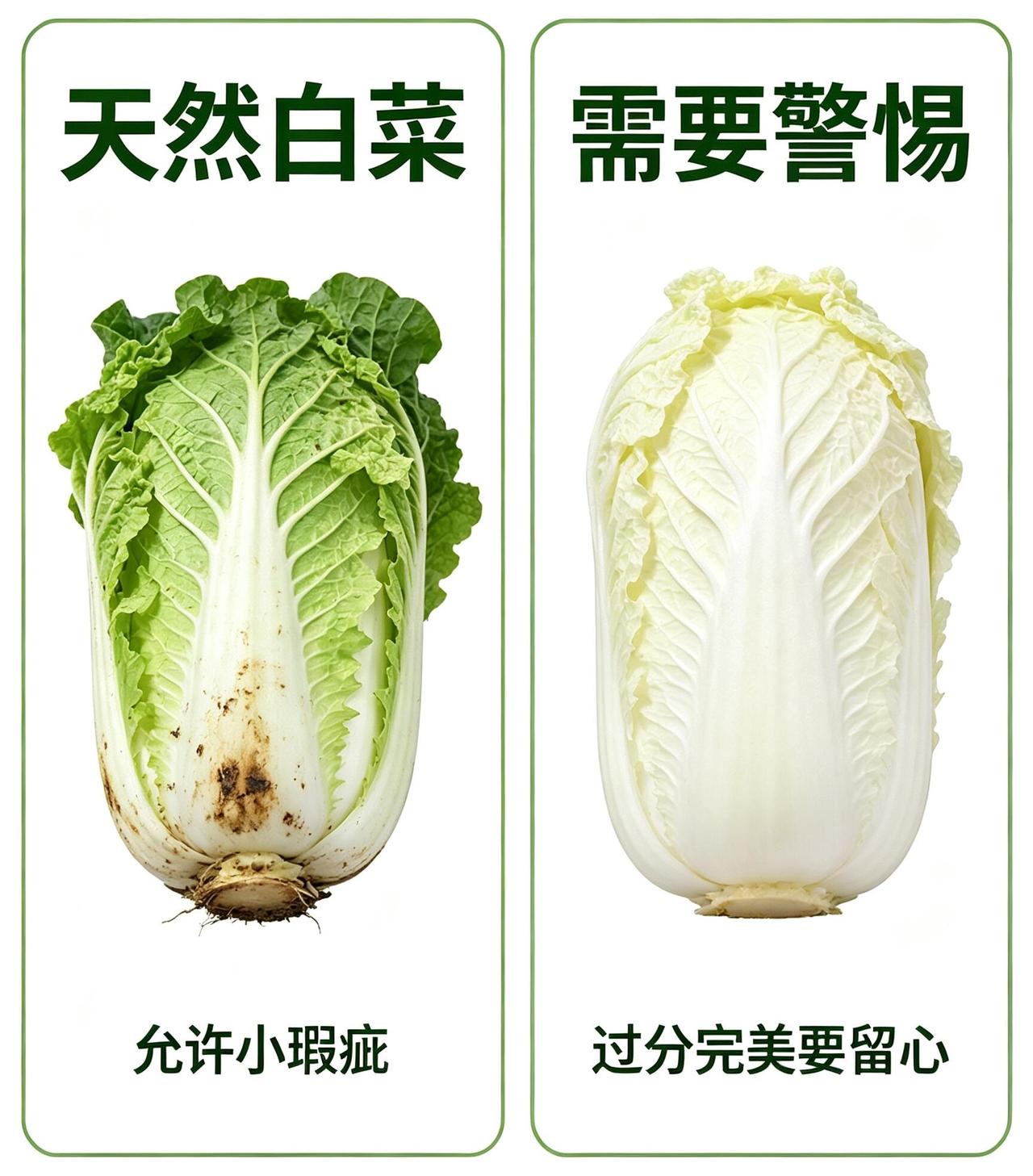 一颗老鼠屎坏一锅汤。甲醛白菜在2012年时就曾被央视曝光过，当时闹的沸沸扬扬，