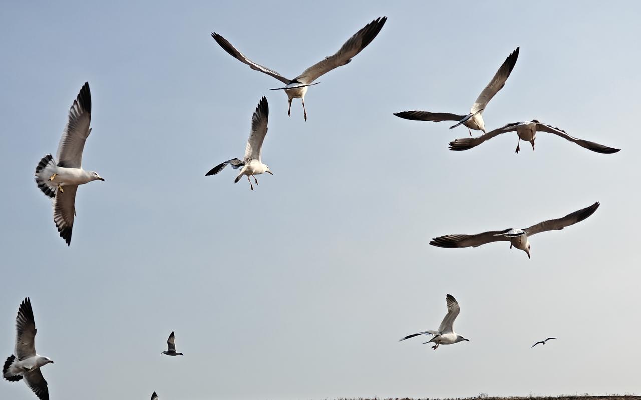 什么叫“工贼”？昨天我又重新认识和了解了这个词。记得上个世纪七十年代，我还是一