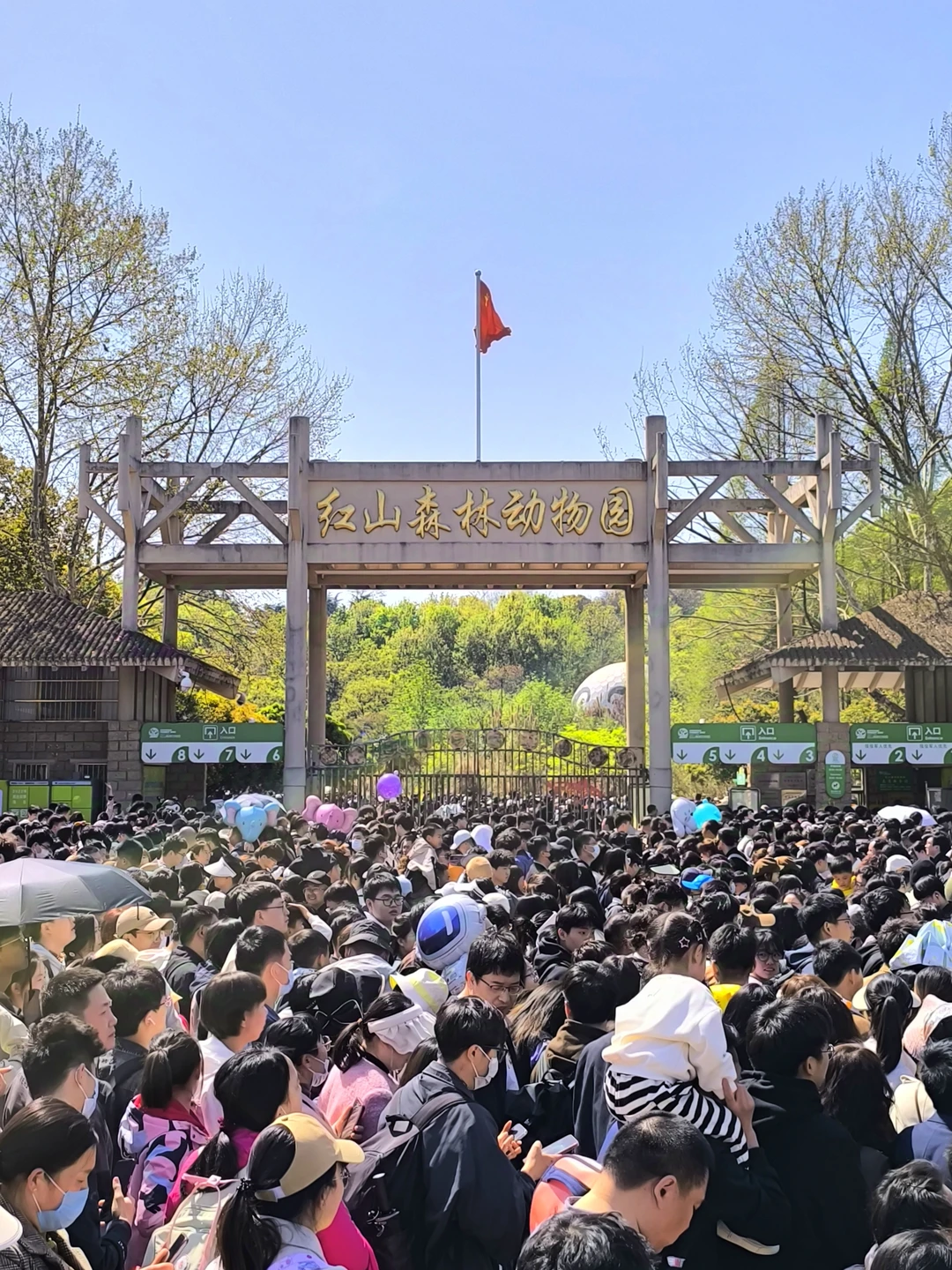 💥五一假期来南京｜一起看人从众从众人吧