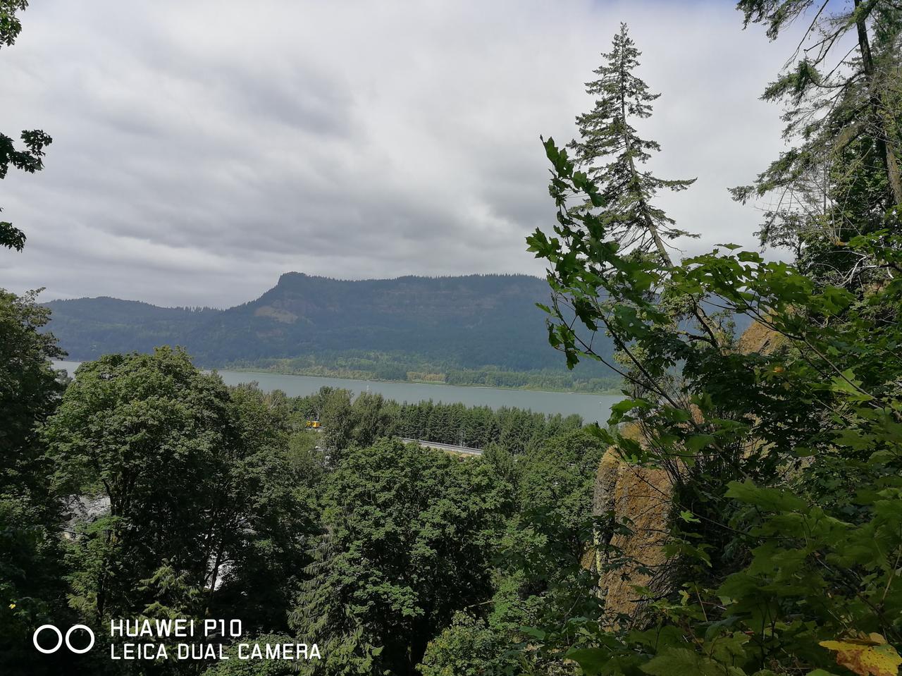 我妈摔倒后，卧床半年多，我们姊妹轮流照顾。没想到，她竟然看上我了，好几次表示：