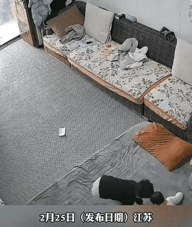 万万没有想到，江苏，妈妈有事准备出门，出门前就让大点的儿子，照顾一下还不会走路的