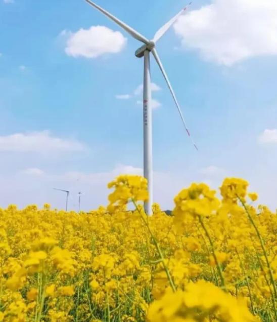 我邻居赵奶奶，72岁，退休金4000多，全贴补给儿子。上个月摔了一跤住院，儿子拿