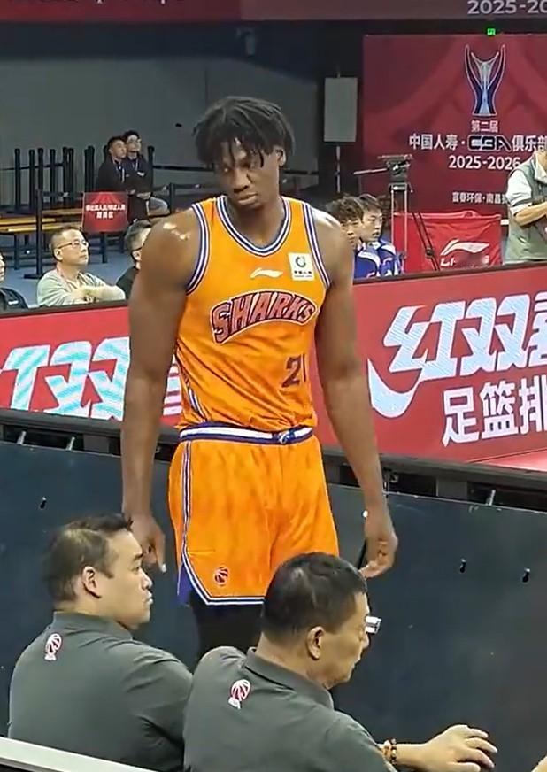 大白边这身材比例太夸张啊！身高：2米13臂展：2米31体重：120公斤