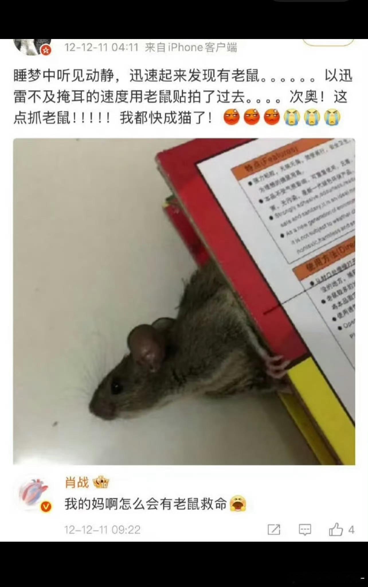 肖战：我的妈啊怎么会有老鼠救命😖​​​
