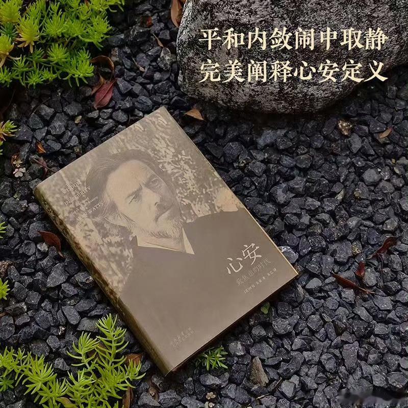 这届微小说作者全是狠人微小说到底藏了多少神作书评《心安》如果你常常焦虑，