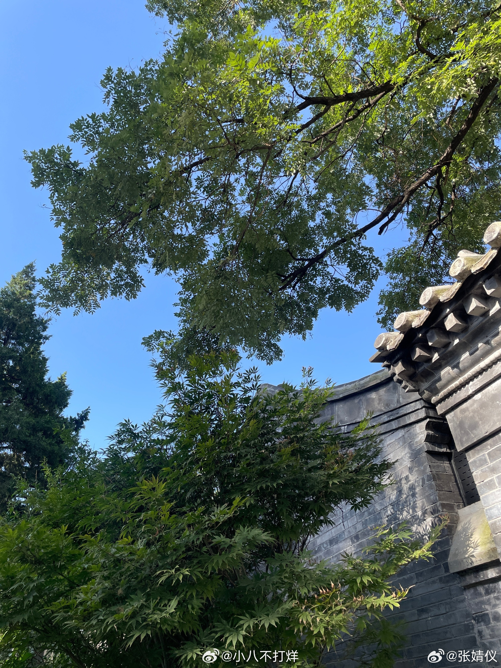 张婧仪苗靖分享自己去逛公园啦🌞看上去心情美美哒的公主在线申请和公