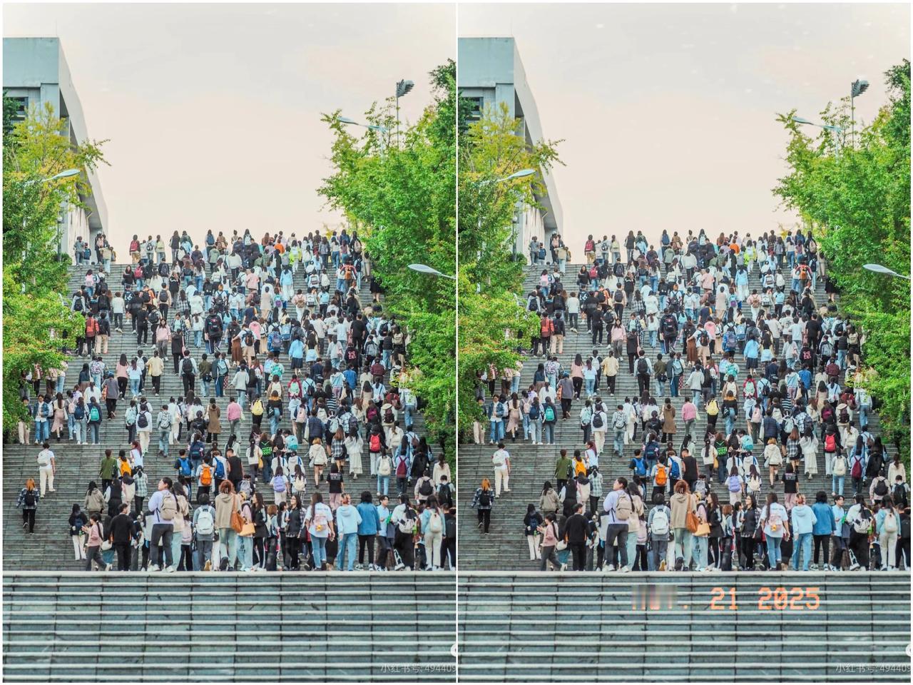 真的是太扎心了！你花两百万给孩子报辅导班、兴趣班、甚至请私教，各种培养各种卷，