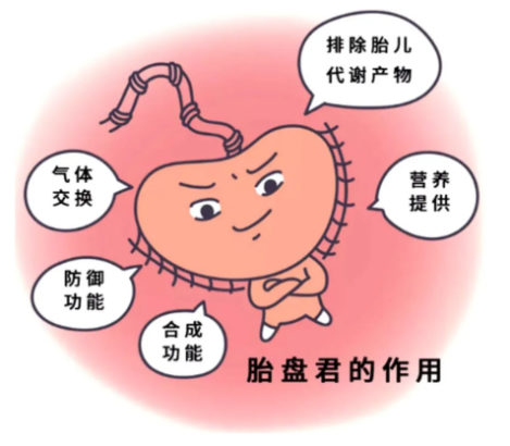 胎盘老化是什么意思,对胎儿有什么影响吗?
