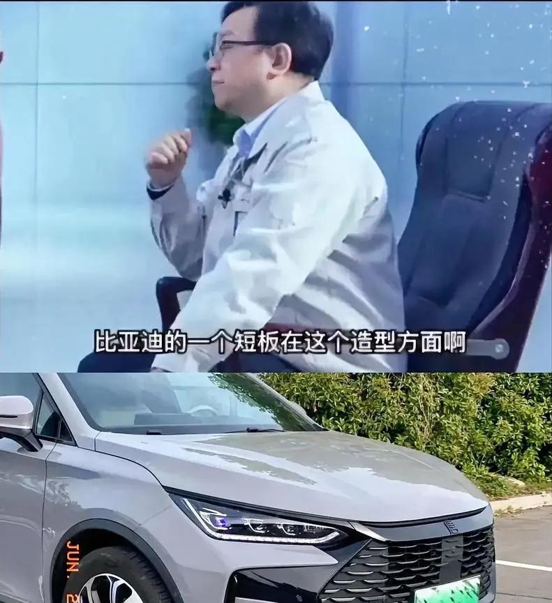 比亚迪王总也承认了，我们犯了一个非常严重的错误。[捂脸哭]导致比亚迪错过了很多爆火
