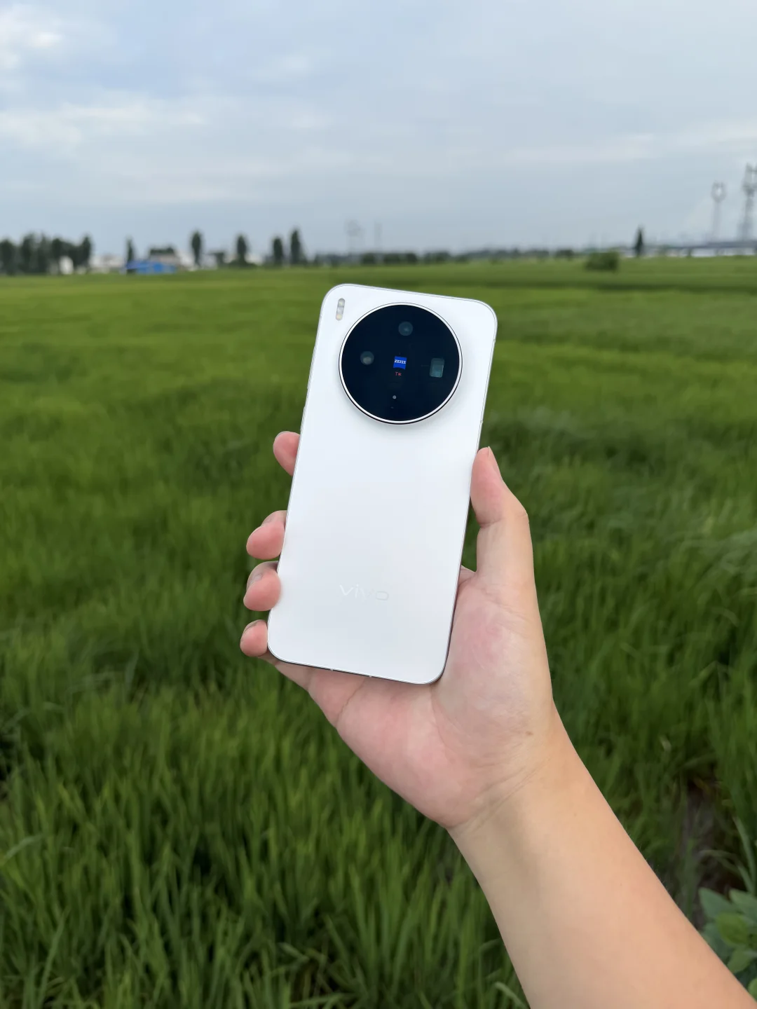 用vivo X300s随手拍巨出片，纯小白爱上摄影