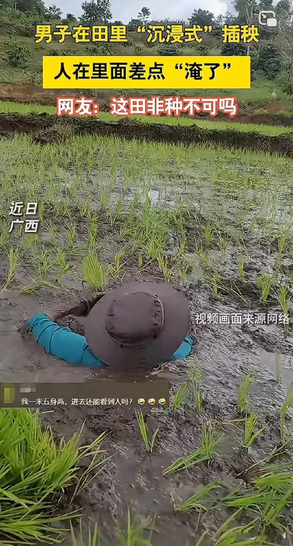 本以为第一张图是假的，没想到第二张图一群人深陷其中！咱就说这稻田非得耕的那