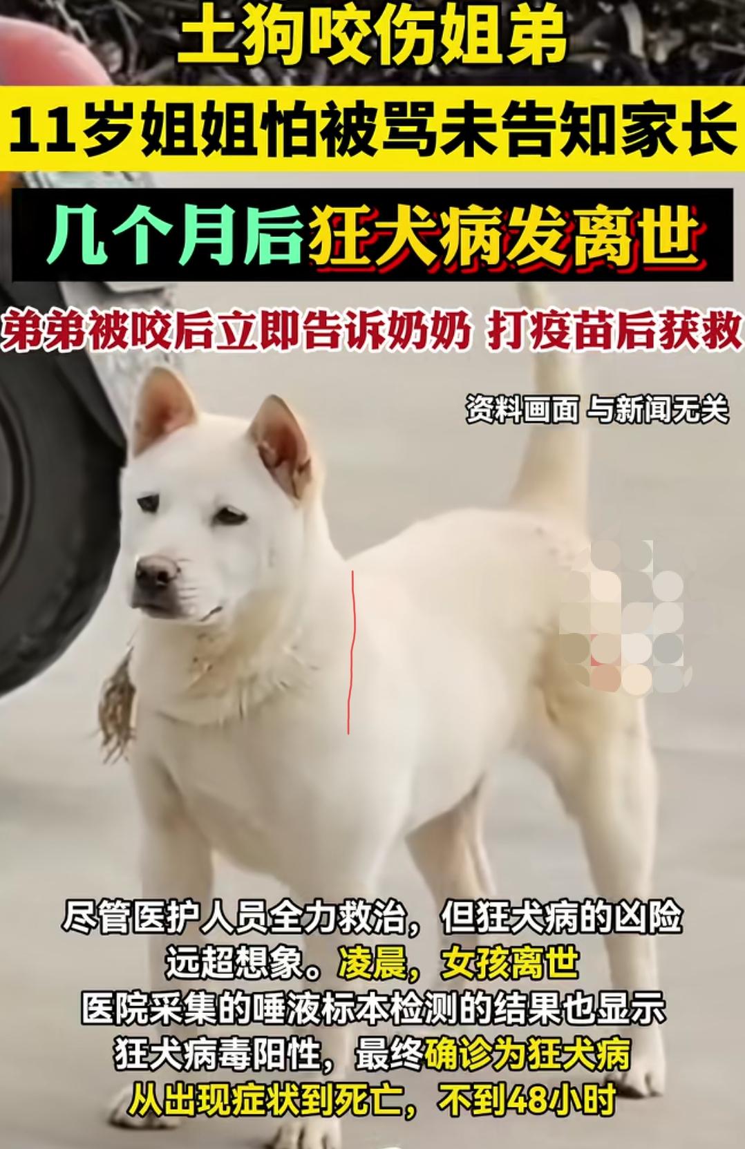 只因一句不敢说，11岁女孩永远的离开了。姐弟俩被土狗咬伤了，弟弟告诉了奶奶，打