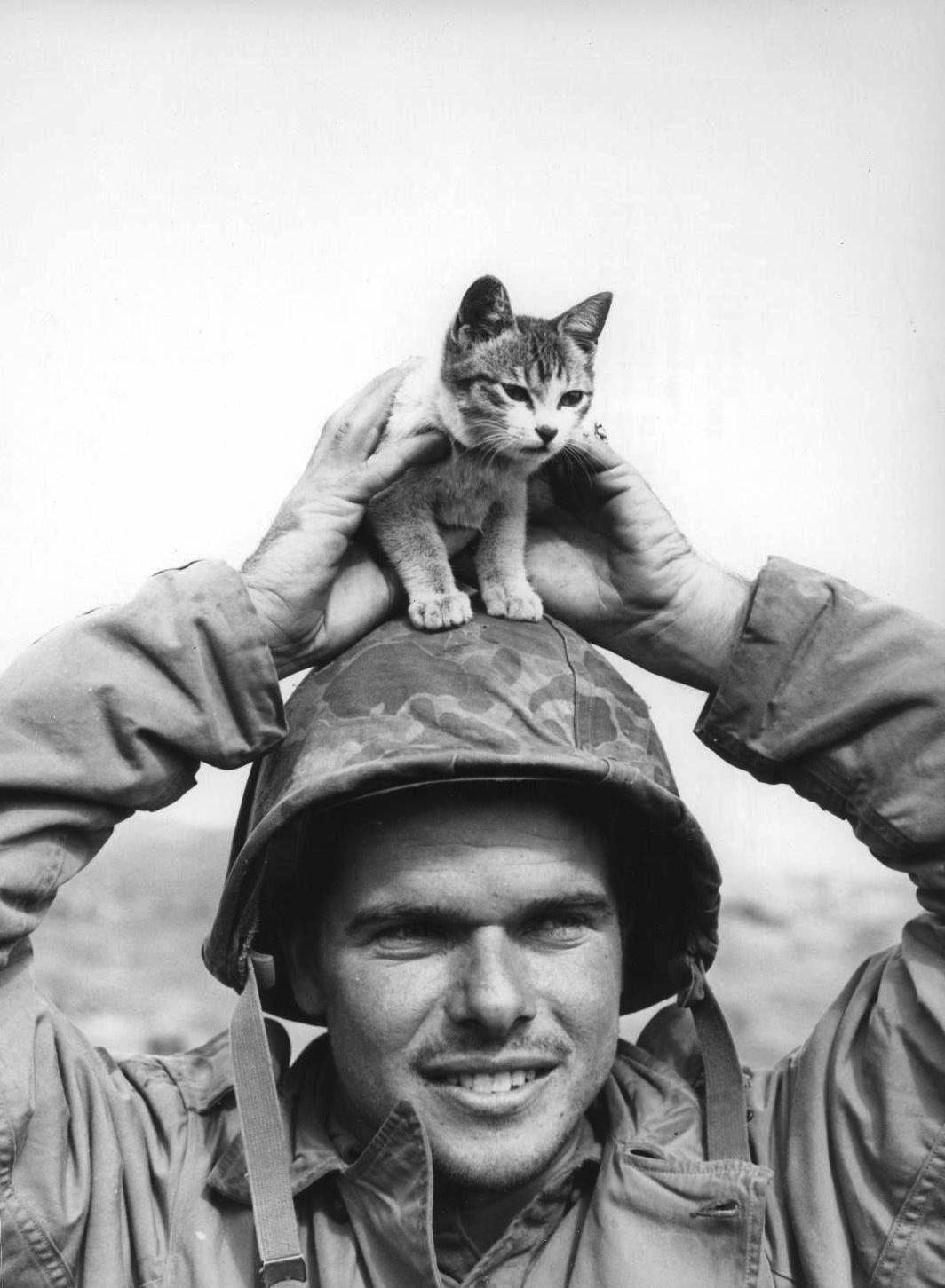 难得的战场闲暇——1945年，硫磺岛，美国海军陆战队第5师下士爱德华・伯克