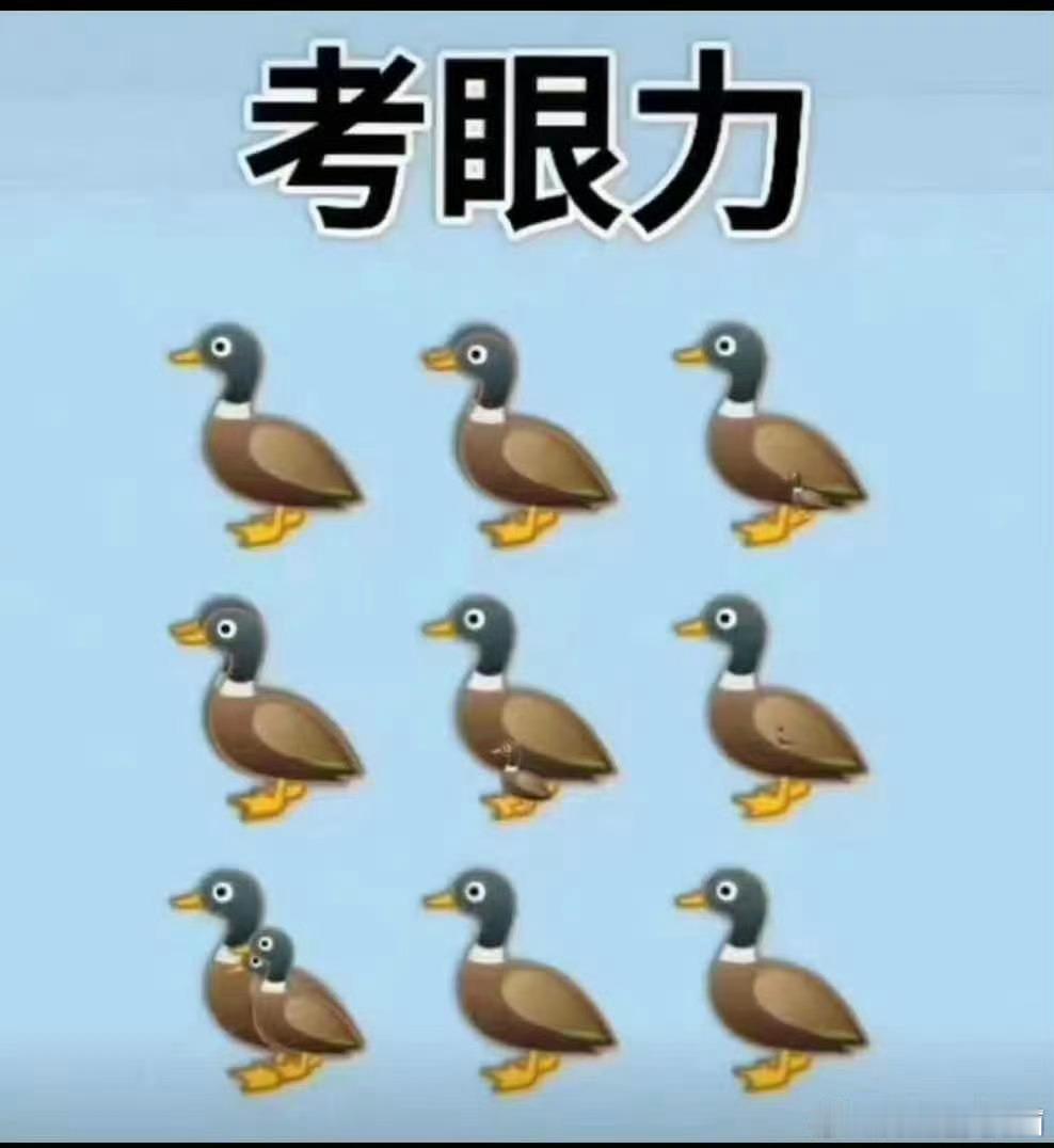 有几只鸭子🦆考考你的眼里