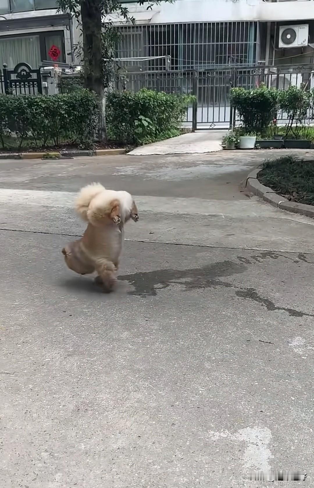 今天，同事又把工厂给投诉了!起因是今天上午发工资条，同事看到工资条