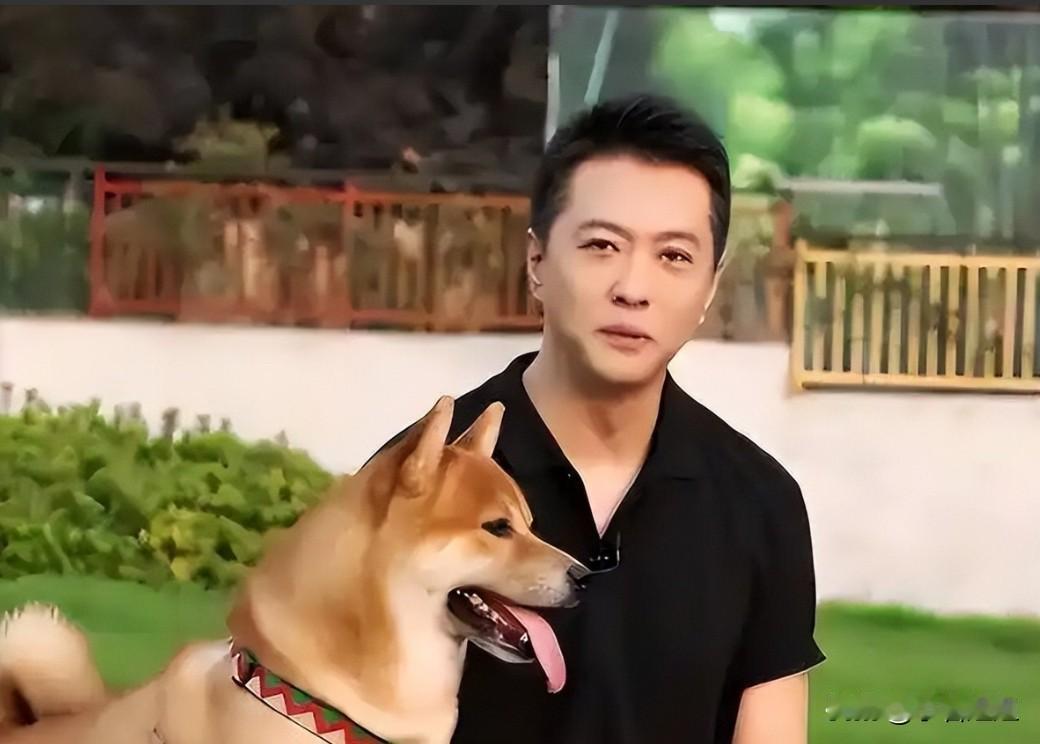 明眼人都知道，不知道你们发现没？顾国宁最后那条视频里，抱着狗狗笑得那么松弛，