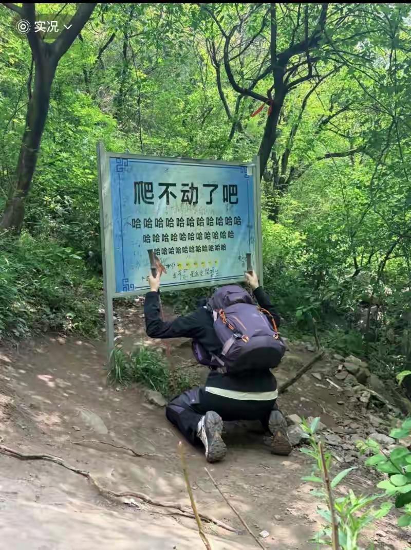 那33个“哈”字，像朋友拍着你肩膀的坏笑。五一假期，嵩山半山腰那块“爬不动了