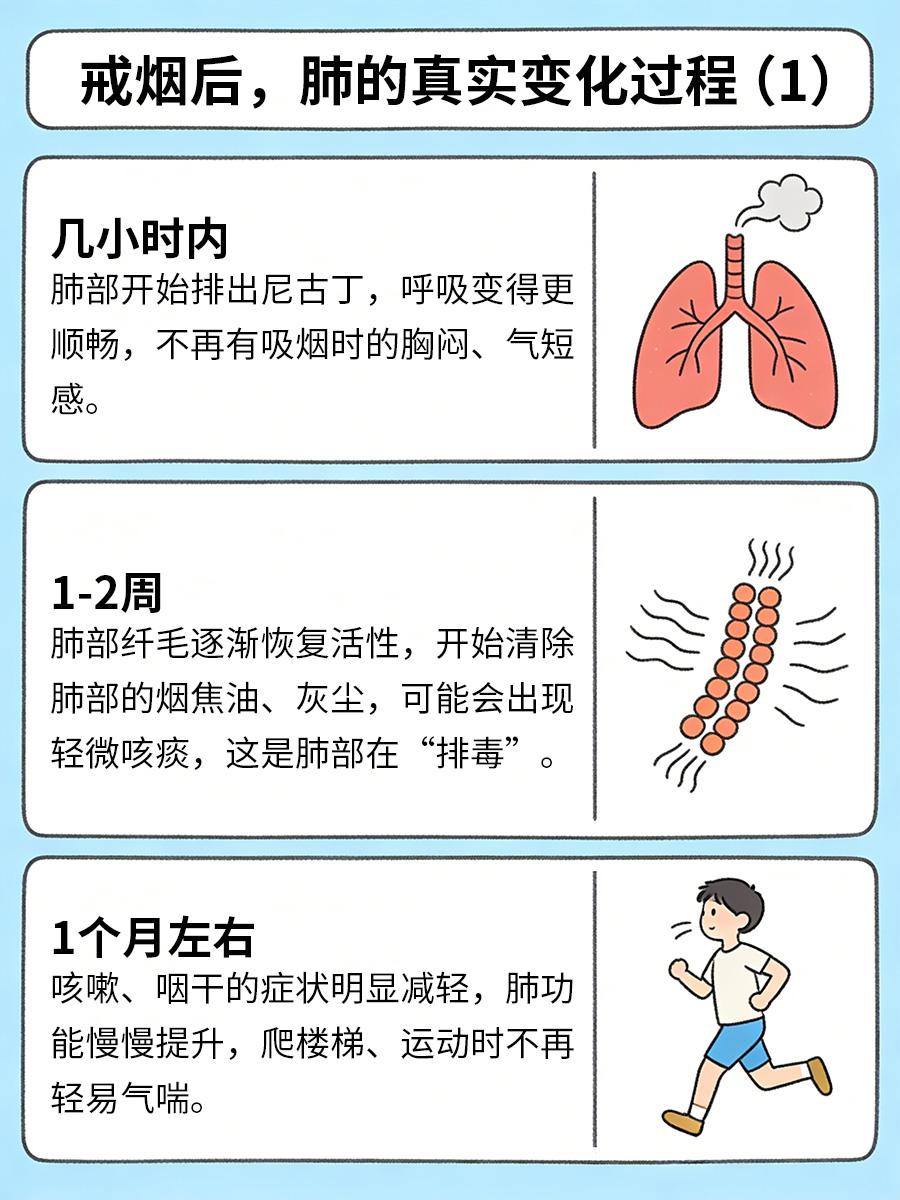 戒烟后，肺会经历这6个变化，太真实了戒烟时总半途而废，觉得“戒烟没用，肺已经受