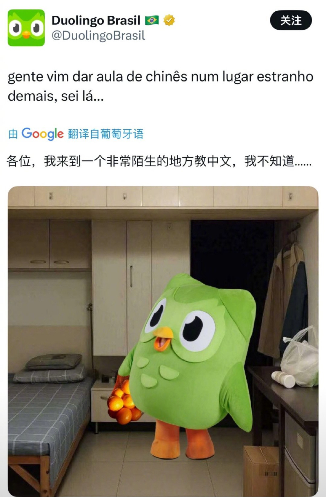 红大爷传到哪国了？原来是多邻国……那国格很坏了​​​