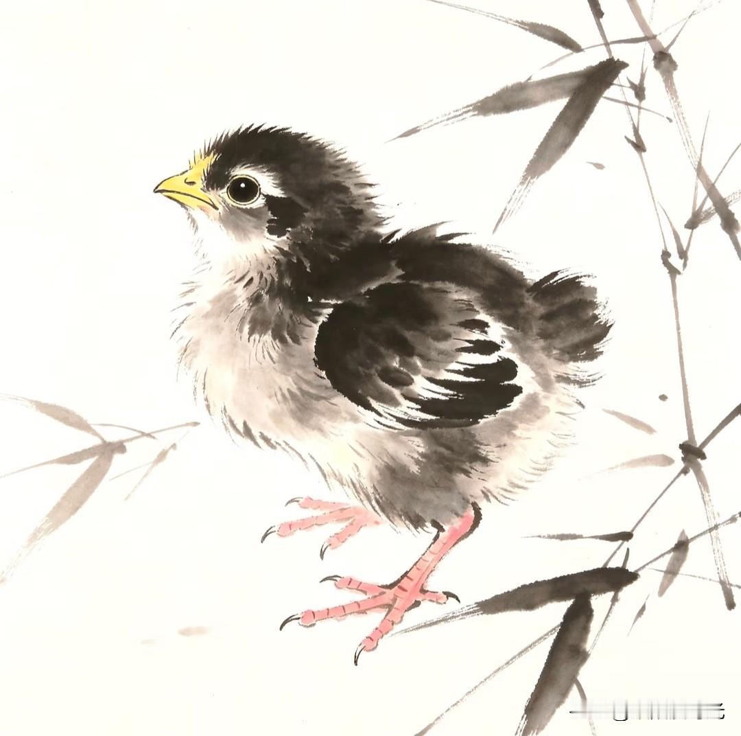 墨韵绘雏鸡，稚态惹人怜。小画拾光水墨小鸡国风绘画分享
