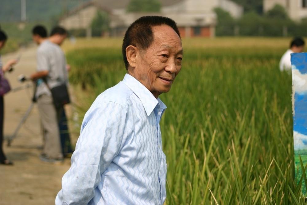 1997年，一位女生来袁隆平的水稻研究所面试，作为面试官的袁隆平看了她完