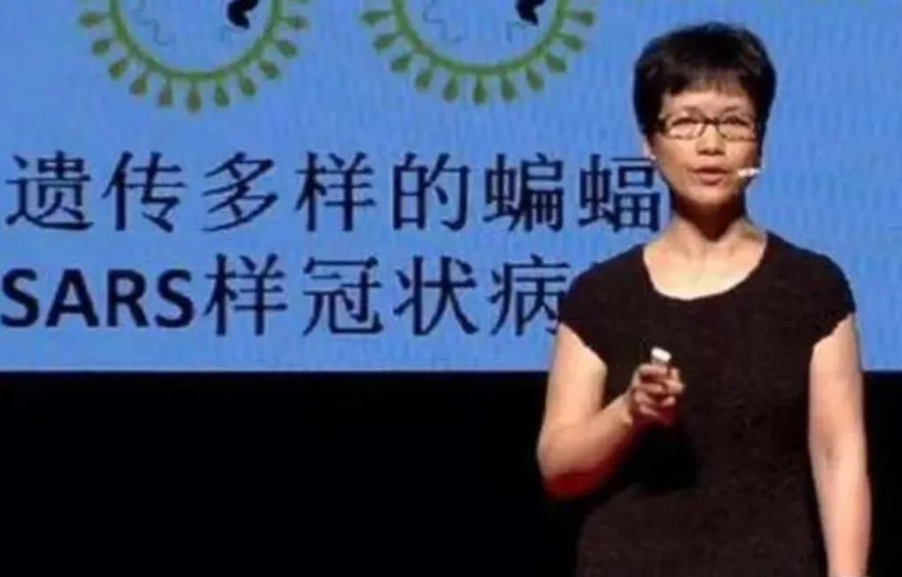石正丽研究的是冠状病毒，基孔肯雅热病毒不属于这类。眼下基孔肯雅热疫情抬头，有人