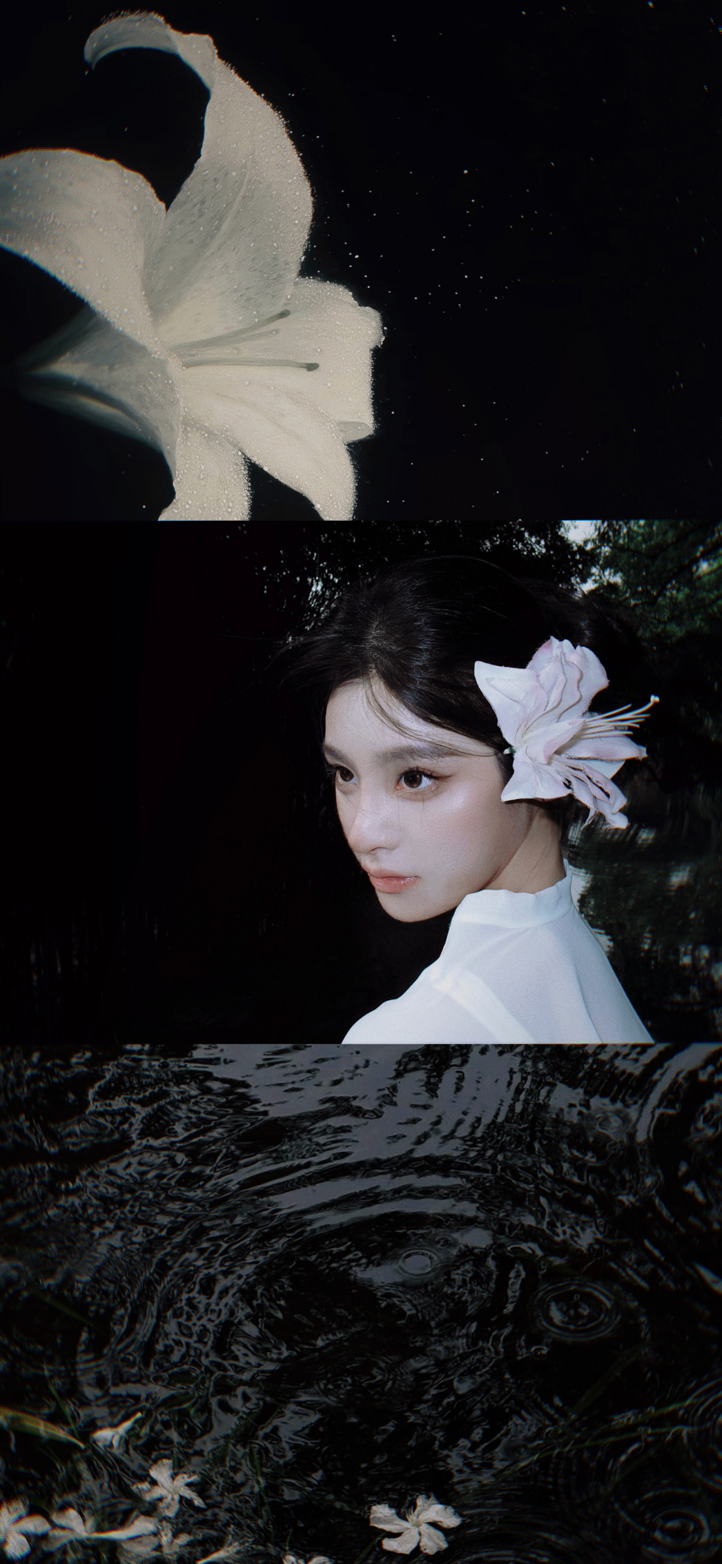 wallpaper｜iPhone17Pro手机全屏壁纸专栏·精选壁纸