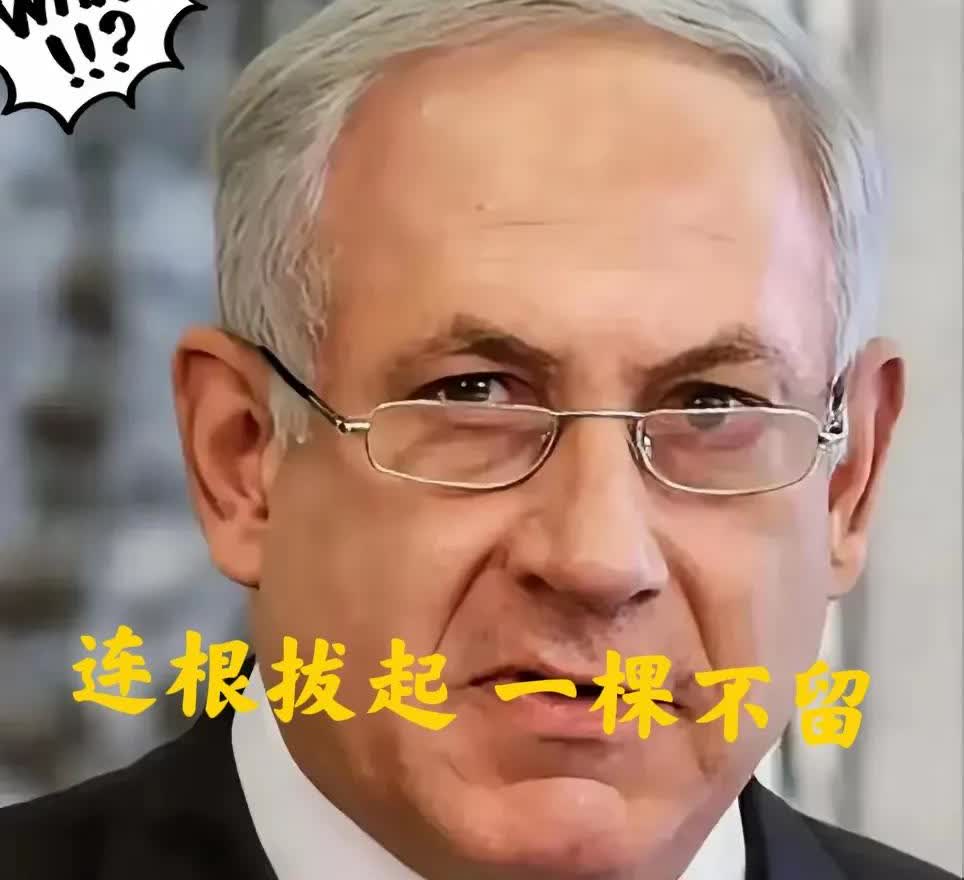 联合国紧急发声！8月25日凌晨，以军突然对约旦河西岸穆盖耶尔村发动“清树