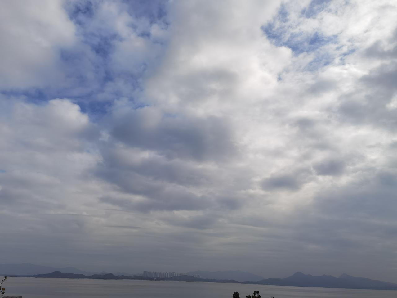 邻居办移民，去的地方是马来西亚。前几天别人送我几只土鸡，我想分两只给邻居吃，