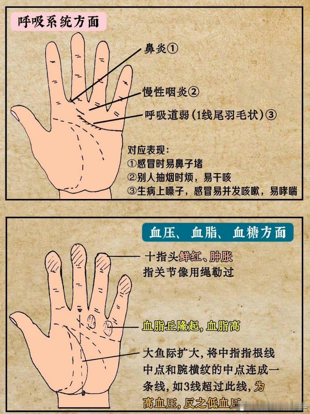 如何从掌纹线看健康状况？在中医理论中，手掌纹路属于“望诊”的范畴。《黄帝内经》有云：“视其外应，以知