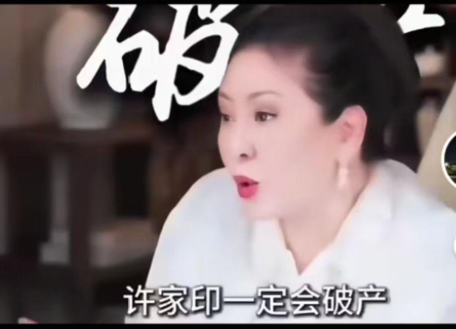 向太陈岚：我早就预料到许家印会破产。“我很多年前就预料到了，我看他什么时候垮，
