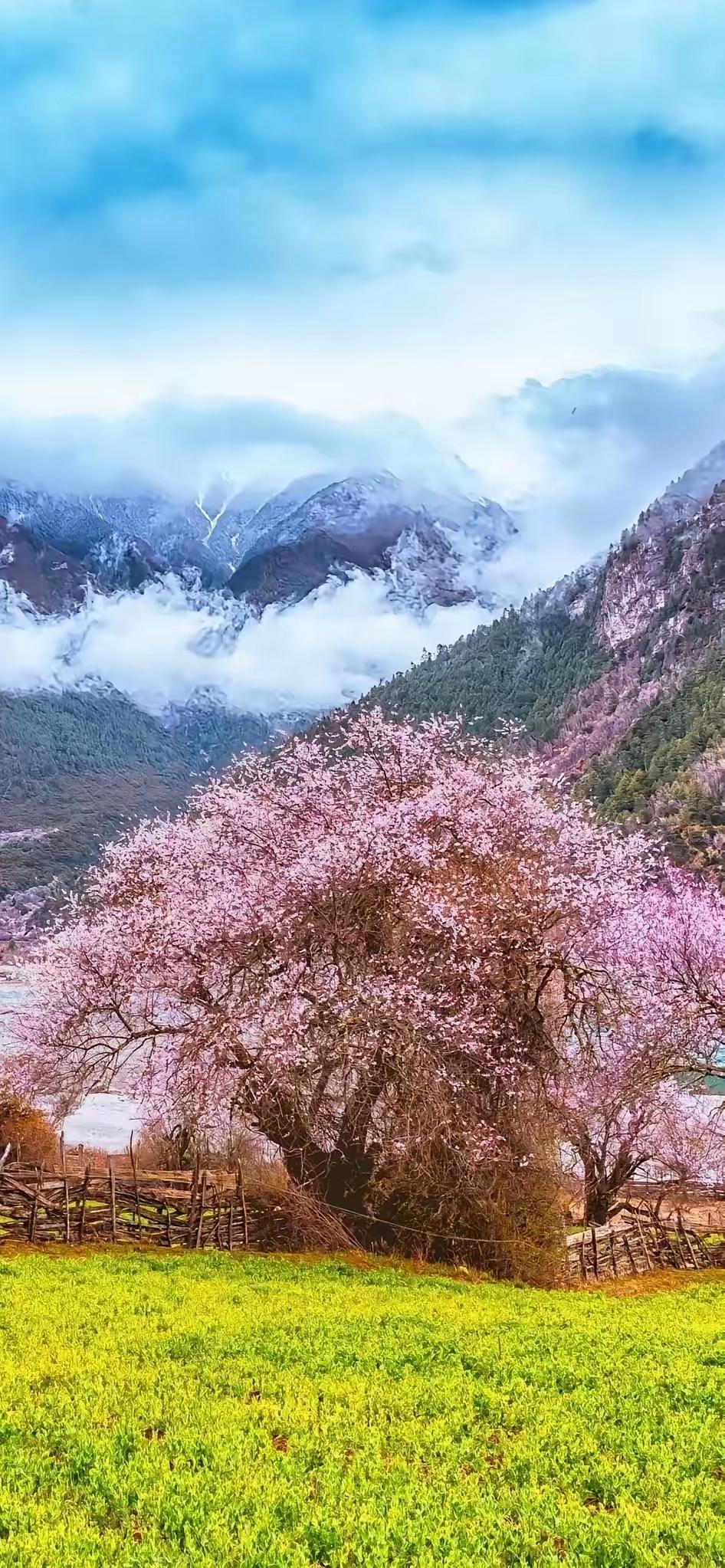 有人总是怕死，实际上，活到七十岁，和活到九十，没什么本质区别，多活二十年，只是多