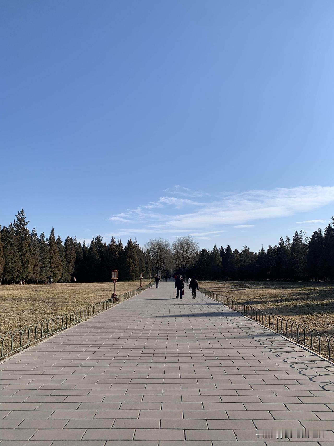 失业后每天逼自己出门溜达两小时初衷是怕自己一个人在家呆着抑郁了。刚失业那段期