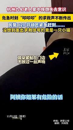 万物皆有灵，近日浙江杭州，邻居发现隔壁有“咚咚咚”的敲击声，担心是隔壁的老太太摔