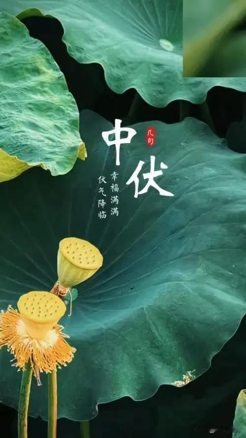 今日中伏是“凶日”，今年中伏牢记3个忌讳：1不吃、2不躺、3不吹今日进入加