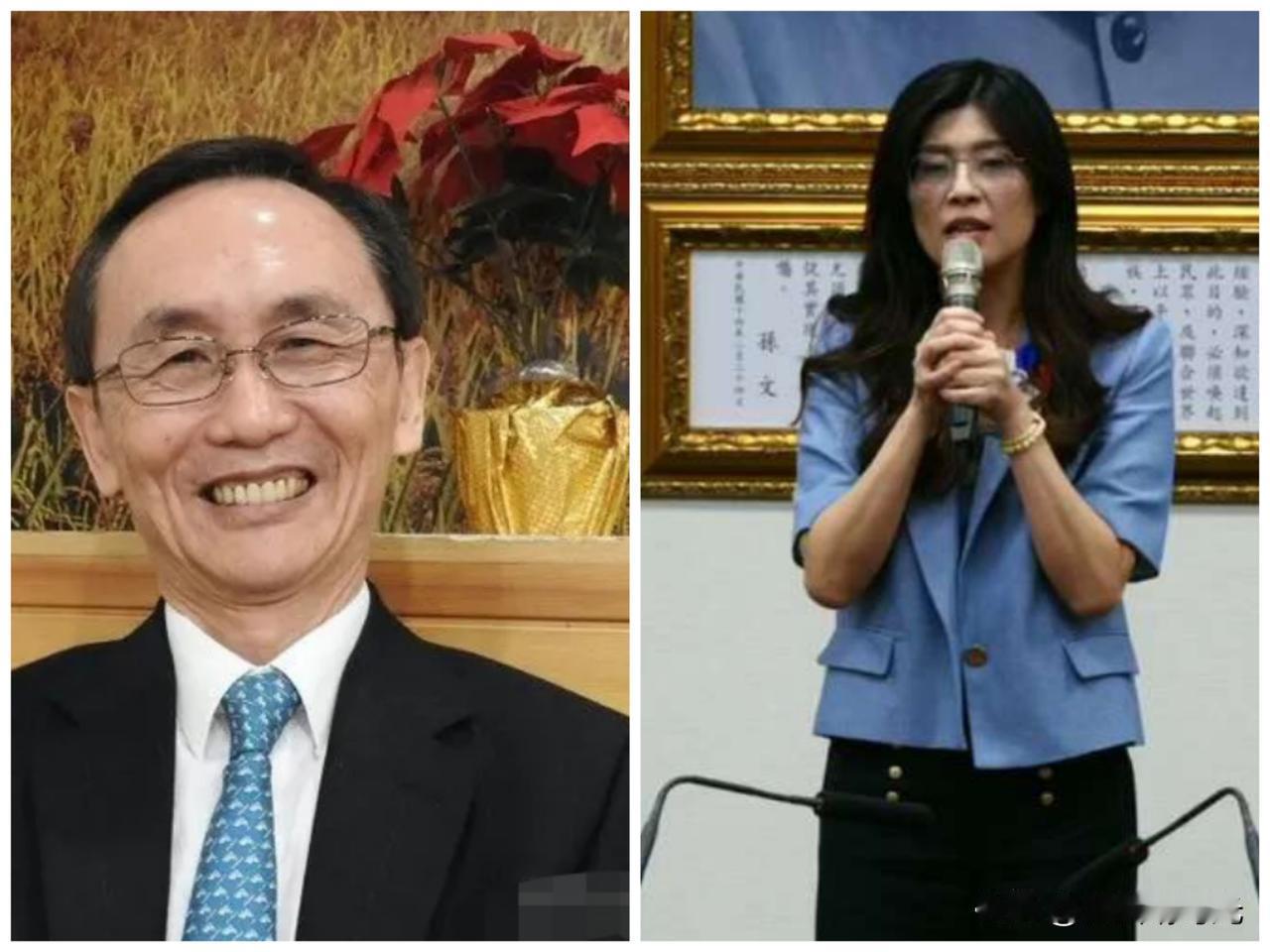 真没想到啊，被大陆网友寄予厚望的国民党主席郑丽文目前最新民调竟然会是这样，媒体人