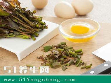 这些野菜不仅可以吃, 还能治病