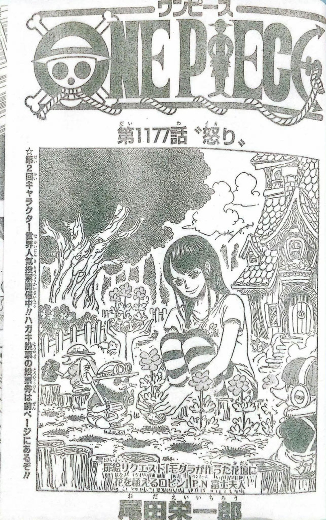 本周海贼王情报全图！大决战进行时，路飞洛基对决伊姆大人！要燃起来了🔥海贼王海贼