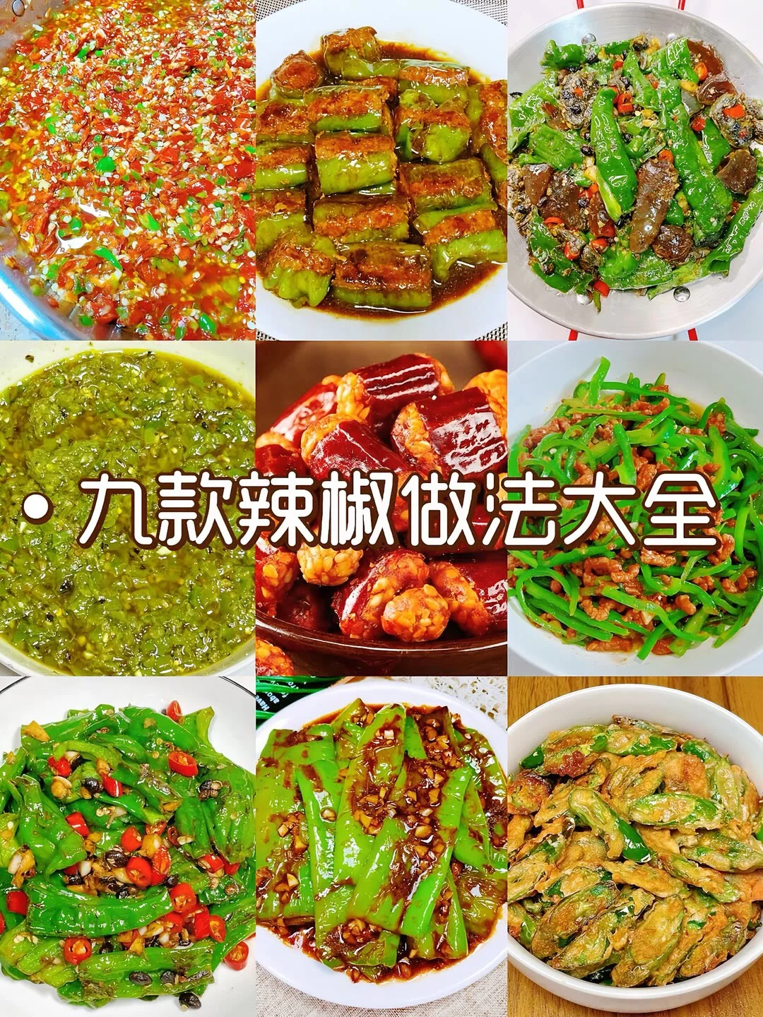九种辣椒做法大全
