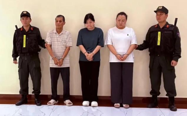一家三口联手操作，将中国生产的电力设备全套伪装成加拿大产品，瞒过越南多轮官方验收