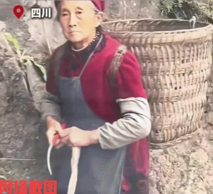 四川有女子在外很想念在老家的外婆。于是女子决定自己偷偷开车，回趟老家给外婆一